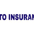 How to Choose the Best Exotic Pet Insurance Policy for Your Needs in the UK