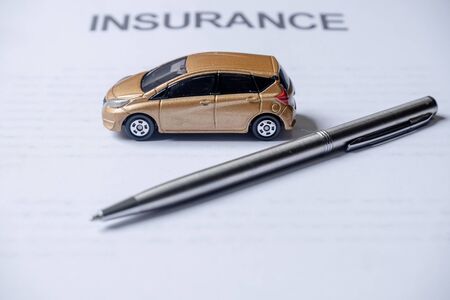 Comparing the Top Multi-Pet Insurance Providers for UK Pet Owners