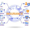 How Breed Determines Pet Insurance Premiums in the UK: What Owners Need to Know