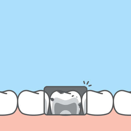 Assessing Your Pet’s Dental Health Before Insurance