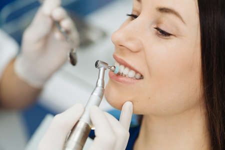 Understanding the Types of Treatments Covered by Pet Dental Insurance in Britain