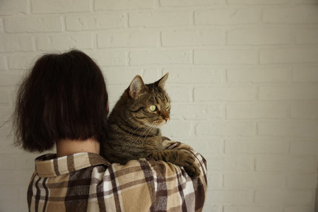 A Comprehensive Guide to Dental Cover for Pets in the UK: What Every Pet Owner Should Know