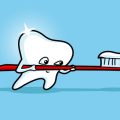 The Importance of Dental Insurance for Pets: Protecting Your Cat or Dog’s Smile