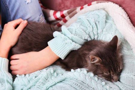 Adopting from Rescues: Insurance Implications for Mixed-Breed and Rehomed Pets in the UK