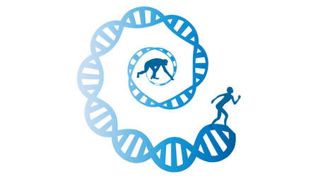 Comparing Pet Insurance Policies for Pedigree Breeds
