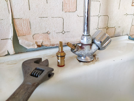 Emergency Assistance for Plumbing and Drainage: Detailed Coverage Explained