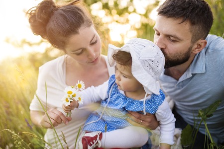 Family Health Insurance: Tailoring Private Policies vs Relying on the NHS