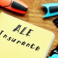 Income Protection and Tax Efficiency for the Self-Employed: What Are Your Options?