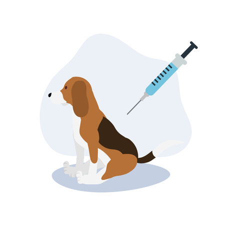 Typical Insurance Costs and What Influences Them