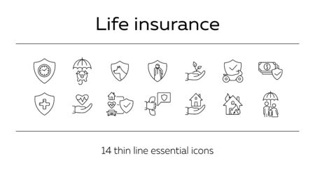 Spaniels: Spirited Characters with Unique Needs